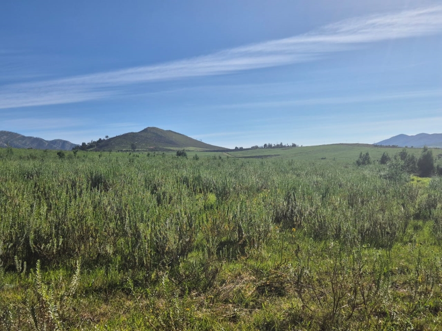 Commercial Property for Sale in Louterwater Eastern Cape